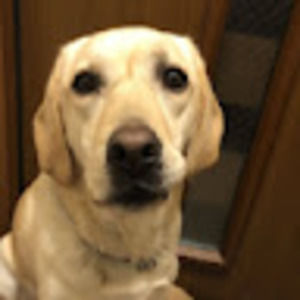 Meet your Posher, Marika